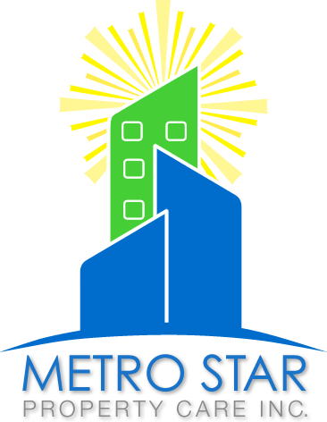 Metro Star